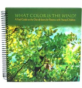 What Color Is The Wind?
